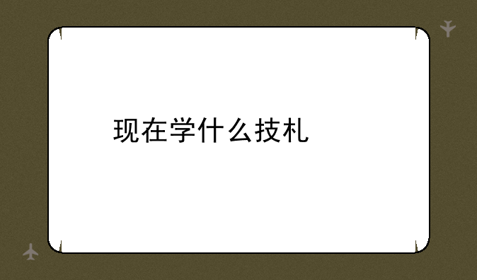 现在学什么技术好
