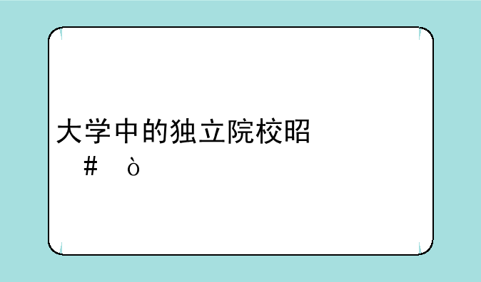 大学中的独立院校是什么？