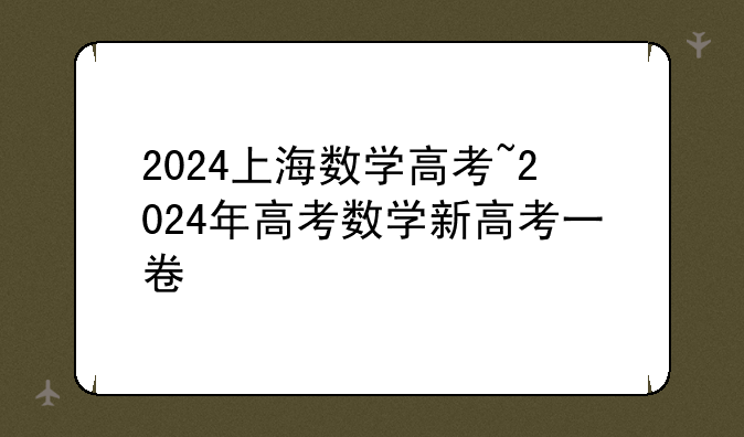 2024上海数学高考~2024年高考数学新高考一卷