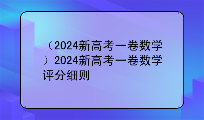 （2024新高考一卷数学）2024新高考一卷数学评分细则